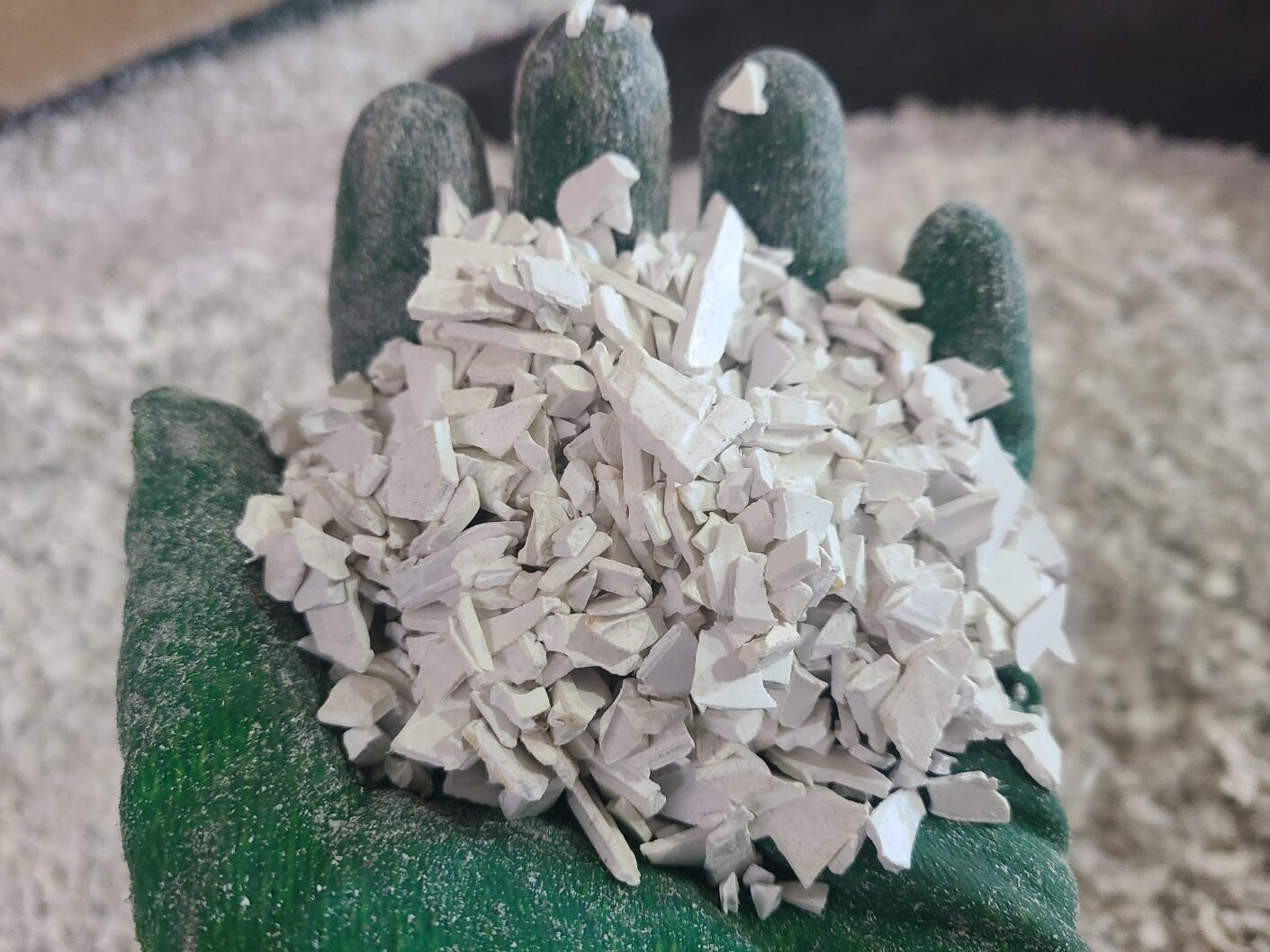 KakaoTalk_20250828_123644652