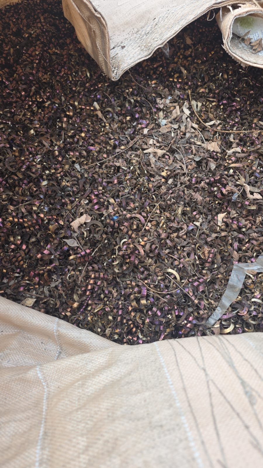 KakaoTalk_20260331_205103634